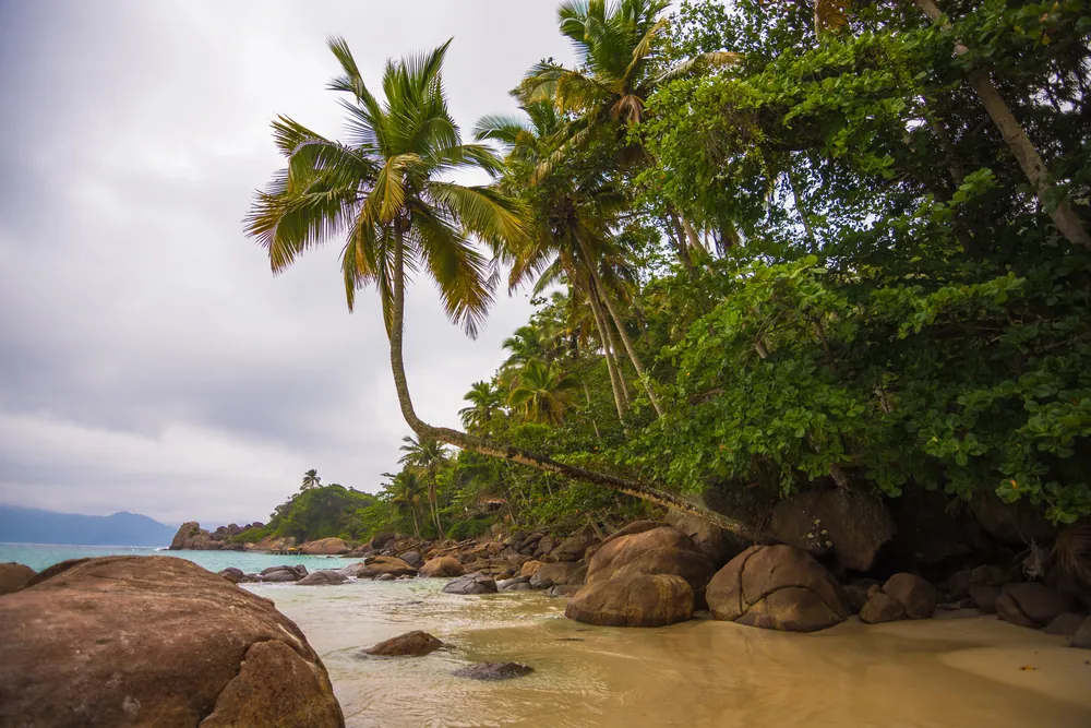 transfers van Ilha Grande